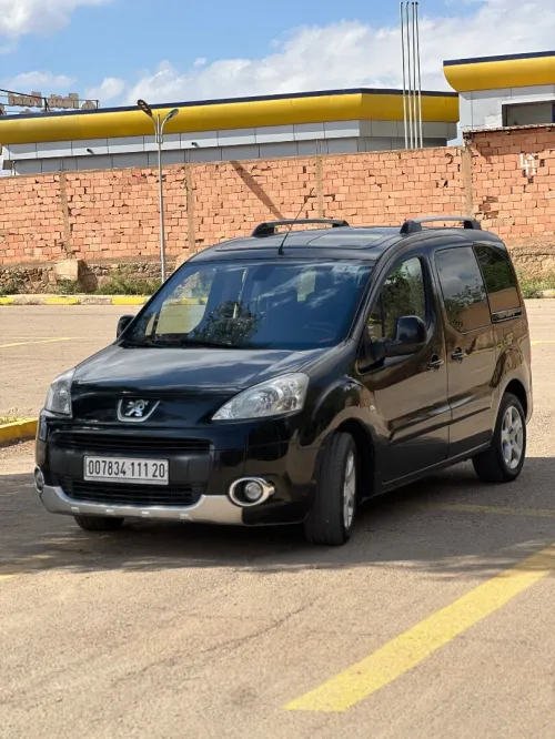 Peugeot Partner 2011 Teppe