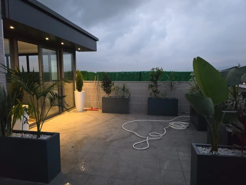 Vente Appartement F3 Blida Boufarik