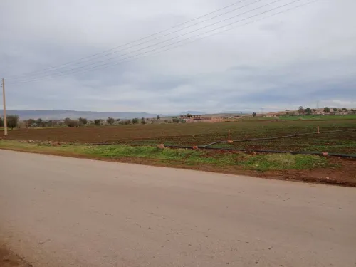 Vente Terrain Agricole Aïn Defla Ain soltane