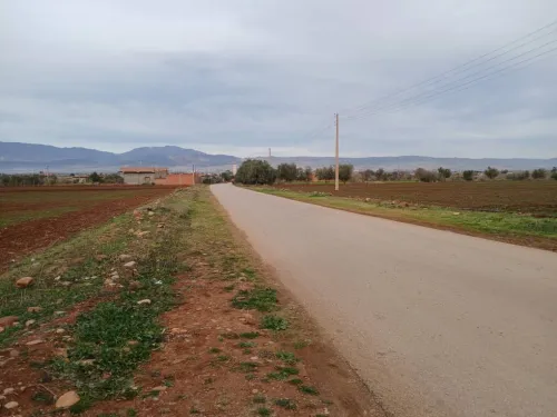 Vente Terrain Agricole Aïn Defla Ain soltane