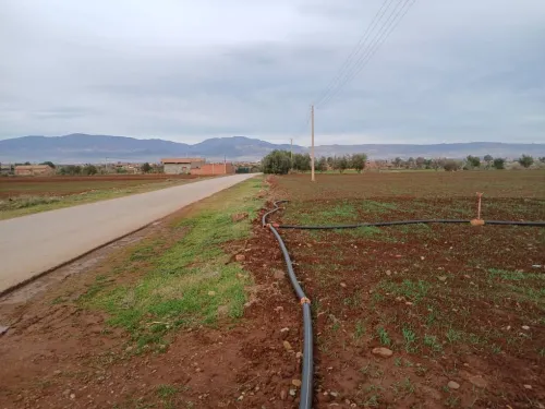 Vente Terrain Agricole Aïn Defla Ain soltane