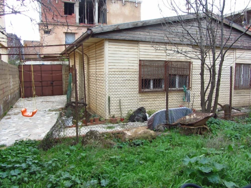 Vente Terrain Aïn Defla Miliana