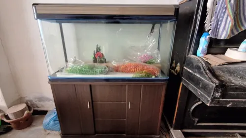 Aquarium 