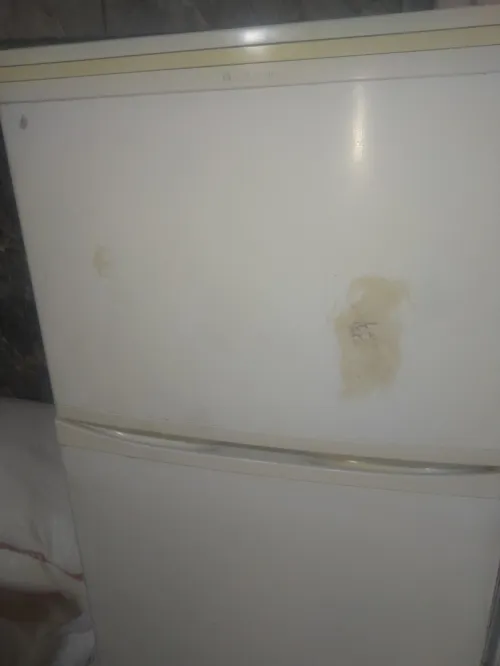 Frigo