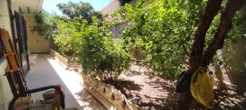 Vente Villa Batna Tazoult