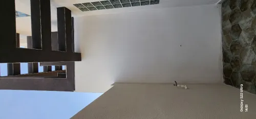 Revetement des façades 