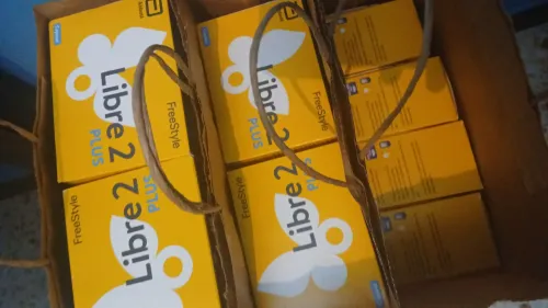 Freestyle libre 2