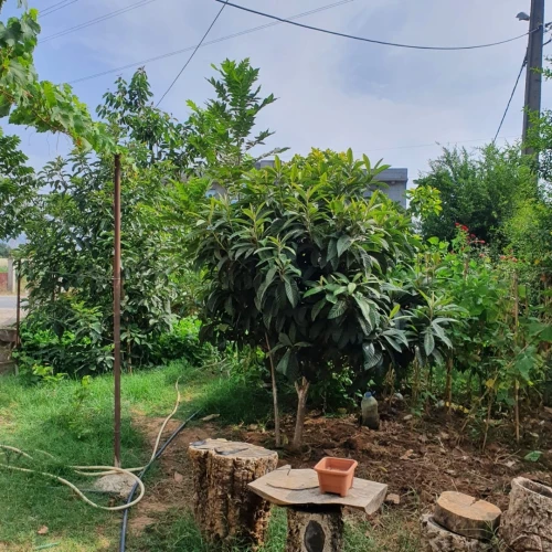 Location vacances Appartement Jijel Jijel