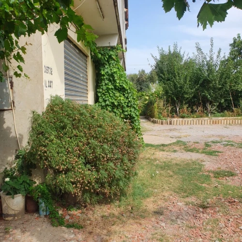 Location vacances Appartement F3 Jijel Jijel
