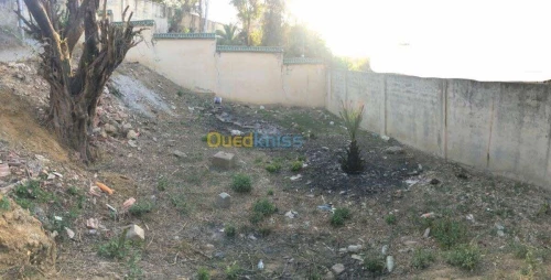 Vente Terrain Boumerdès Thenia