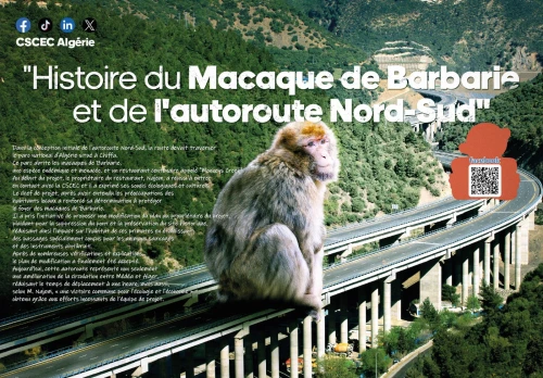 Graphiste professionnel 