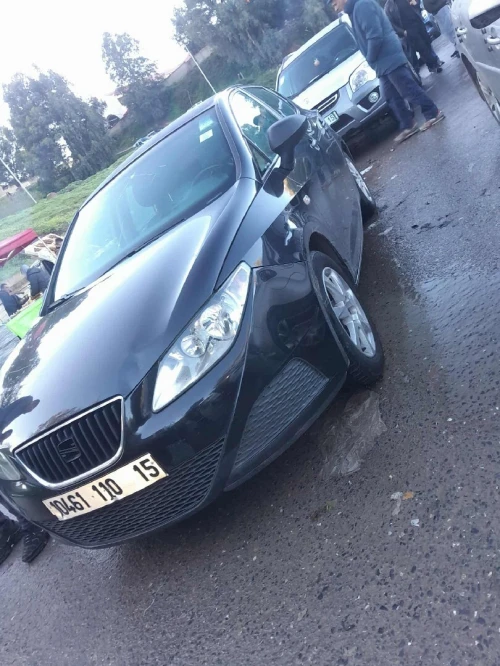 Seat Ibiza 2010 Ibiza