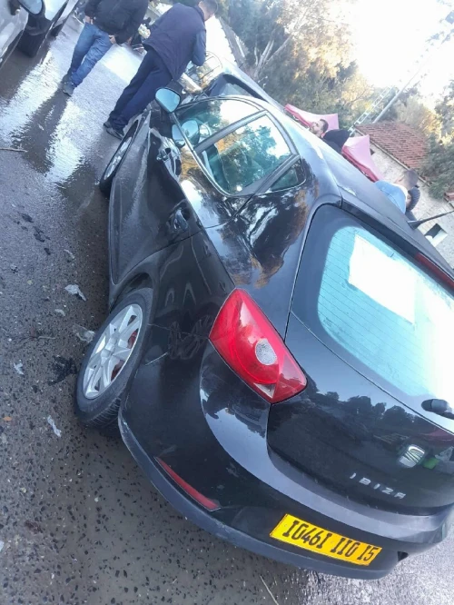 Seat Ibiza 2010 Ibiza