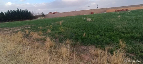 Vente Terrain Agricole Laghouat Laghouat