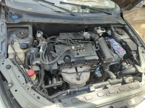 DFM H30 Cross 2016 H30 Cross