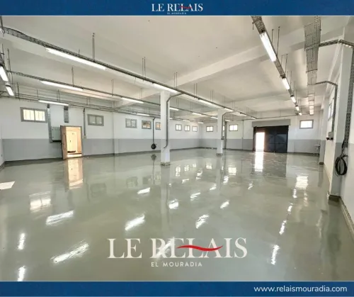 Vente Hangar Alger Reghaia
