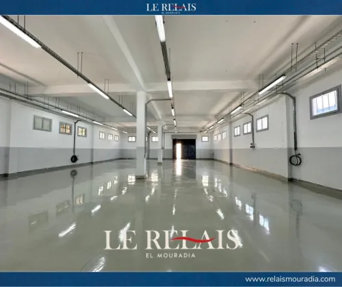 Vente Hangar Alger Reghaia
