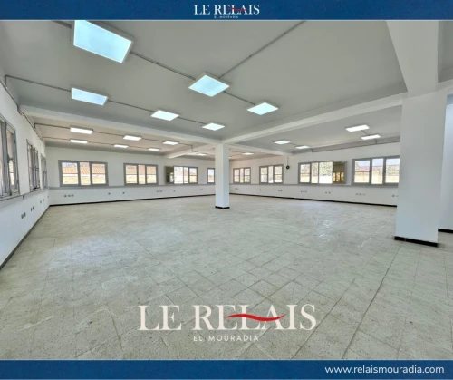 Vente Hangar Alger Reghaia