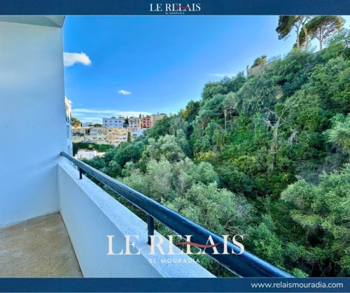 Location Appartement F2 Alger El biar