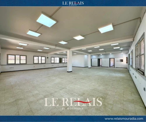 Vente Hangar Alger Reghaia