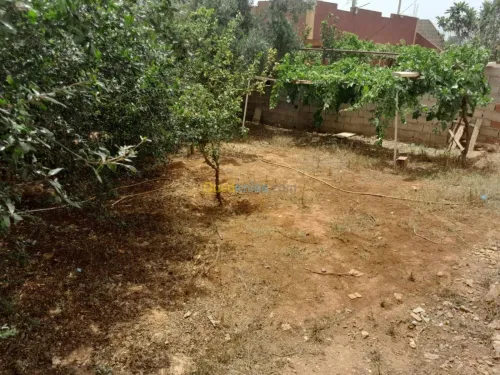 Location vacances Bungalow F3 Tlemcen Marsa ben mhidi