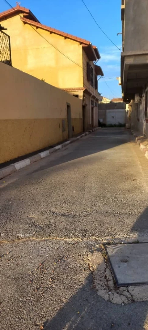 Vente Terrain Chlef Chlef