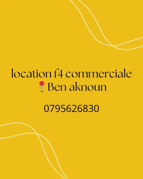 Location Appartement F4 Alger Ben aknoun