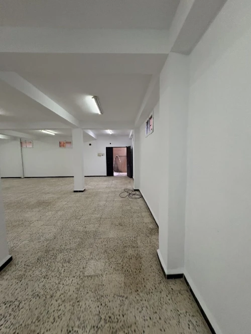 Location Local Alger Ain benian