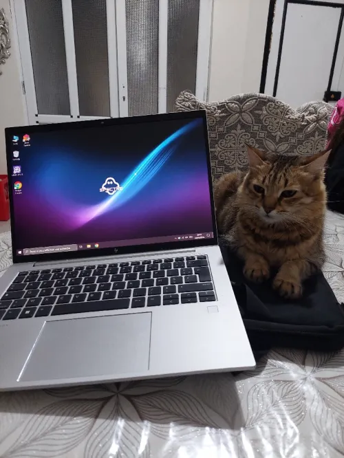 Hp elitebook 845 G10 Rayzen 7pro