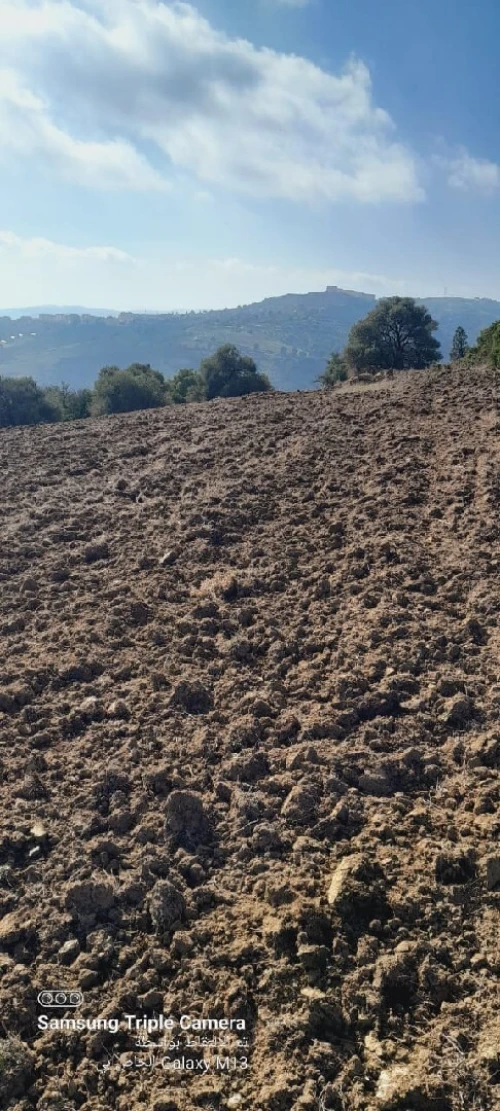 Vente Terrain Agricole Tipaza Meurad