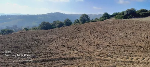 Vente Terrain Agricole Tipaza Tipaza