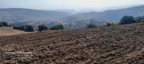 Vente Terrain Agricole Tipaza Meurad