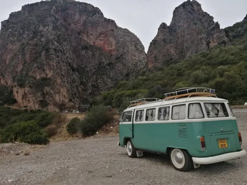 Volkswagen T2 1981 
