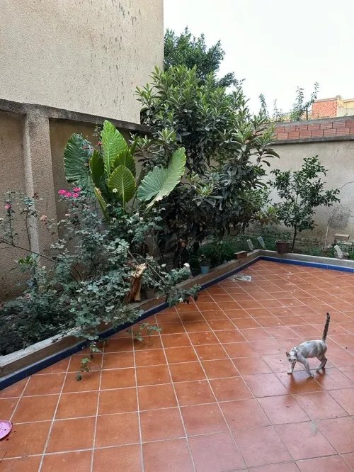 Vente Villa Blida Boufarik