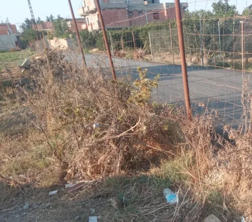 Vente Terrain Blida Chebli
