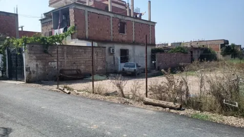 Vente Terrain Blida Chebli