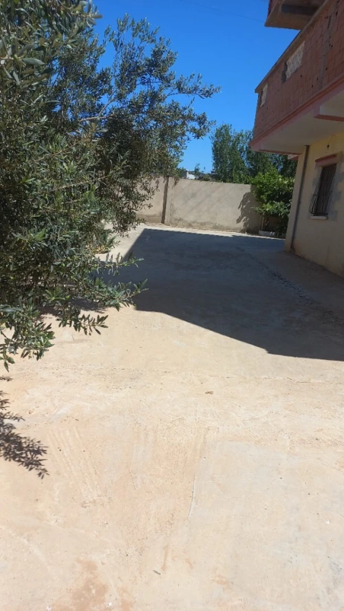 Location Terrain Agricole Aïn Defla Bir ould khelifa
