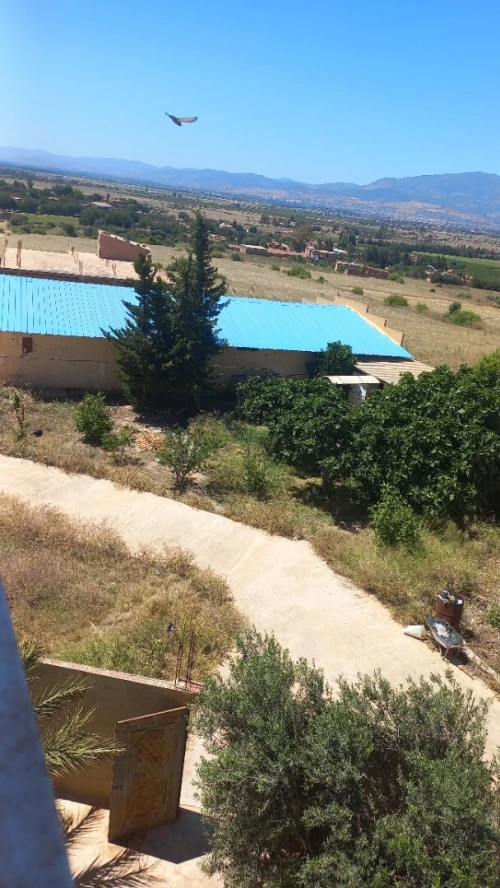 Location Terrain Agricole Aïn Defla Bir ould khelifa