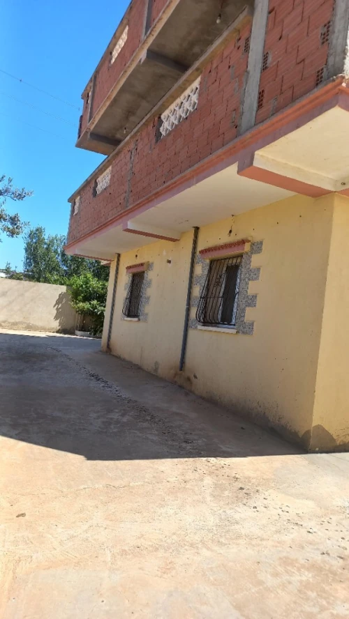 Location Terrain Agricole Aïn Defla Bir ould khelifa