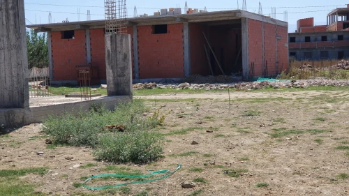 Vente Terrain Blida Boufarik
