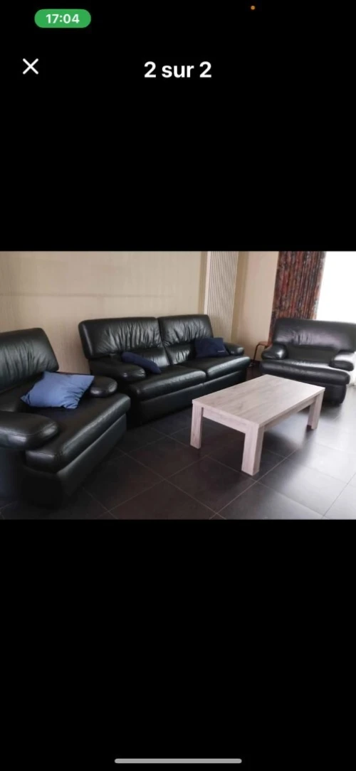 Élégants fauteuils de salon en cuir véritable