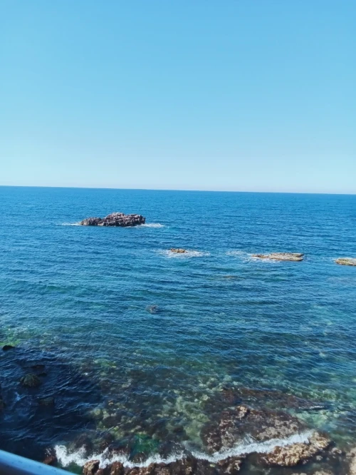 Vente Bungalow Tipaza Tipaza