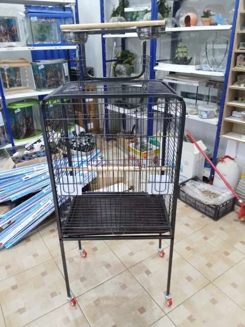 Cage perroquet