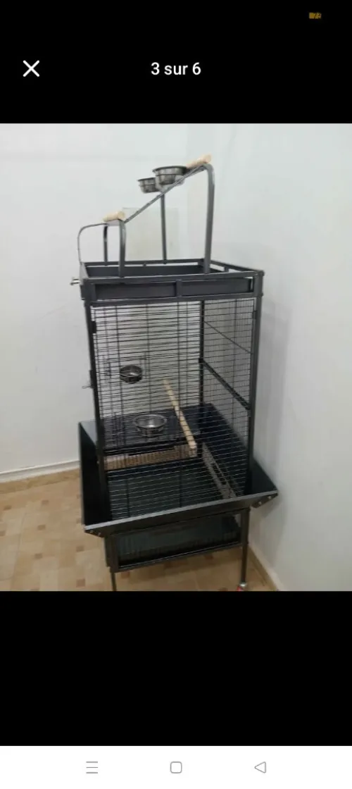 Cage perroquet