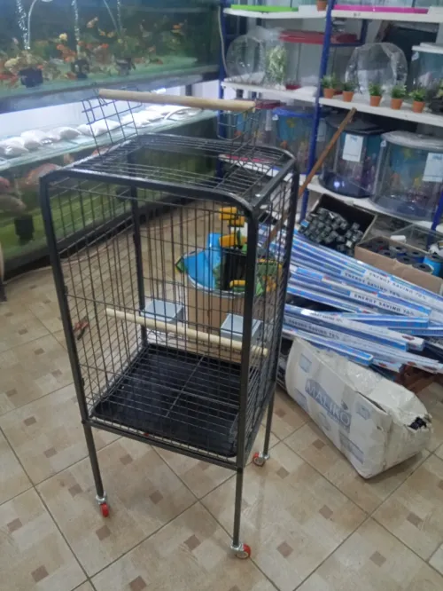  Cage perroquet avec Perchoir 