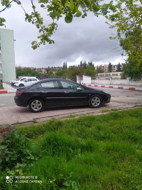 Peugeot 407 2004 407