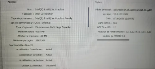 Dell Latitude 3520 Intel core i5 11e génération