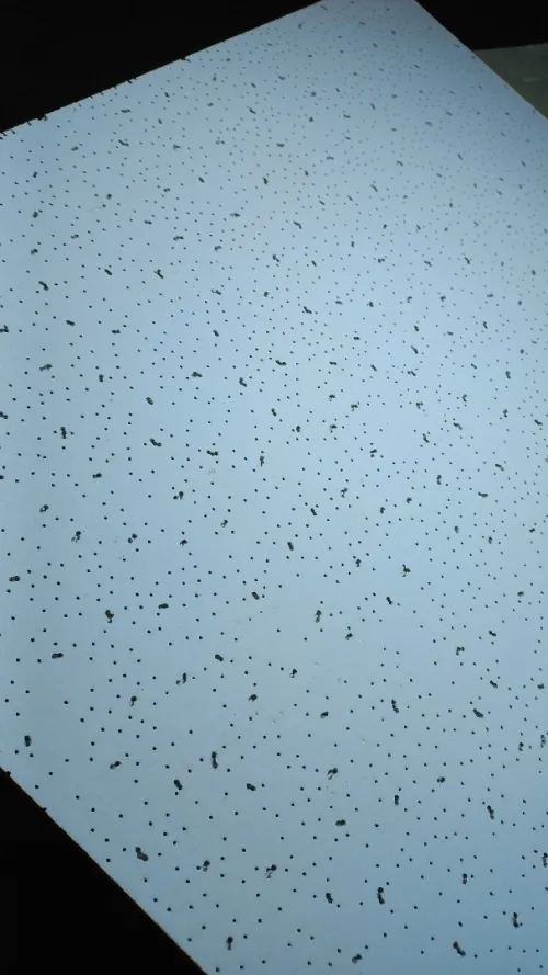 Faux plafond Démontable aluminium 