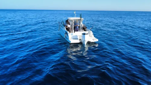 Beneteau Antares 8 année 2021 Moteur 250 Cv avec place