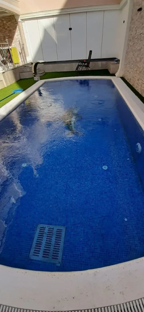 Entretien des piscines 
